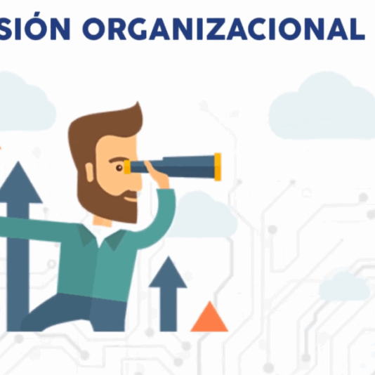 Vision of our company